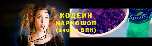 ешки Бронницы