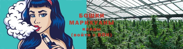 ешки Бронницы