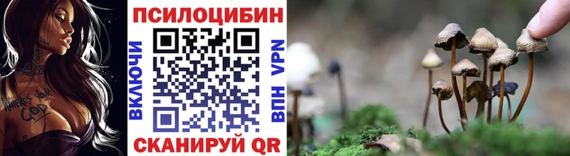 Галлюциногенные грибы Psilocybine cubensis  Кострома 